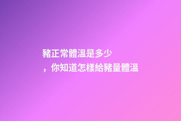 豬正常體溫是多少，你知道怎樣給豬量體溫